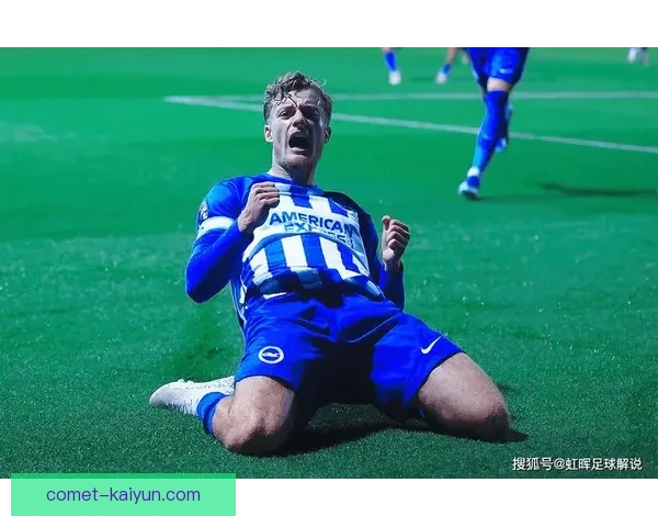 埃弗顿在英超联赛中表现稳健，竞争力增强的趋势明显