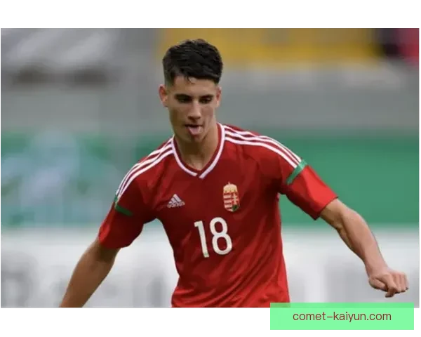 哈兰德萨尔茨堡红牛时期表现稳健，状态回暖备受期待